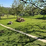 Glamping Prokop 公寓 布拉格